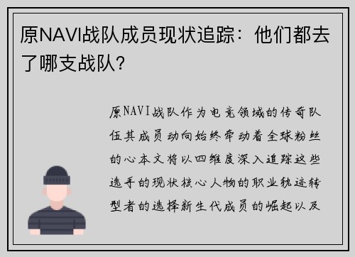 原NAVI战队成员现状追踪：他们都去了哪支战队？